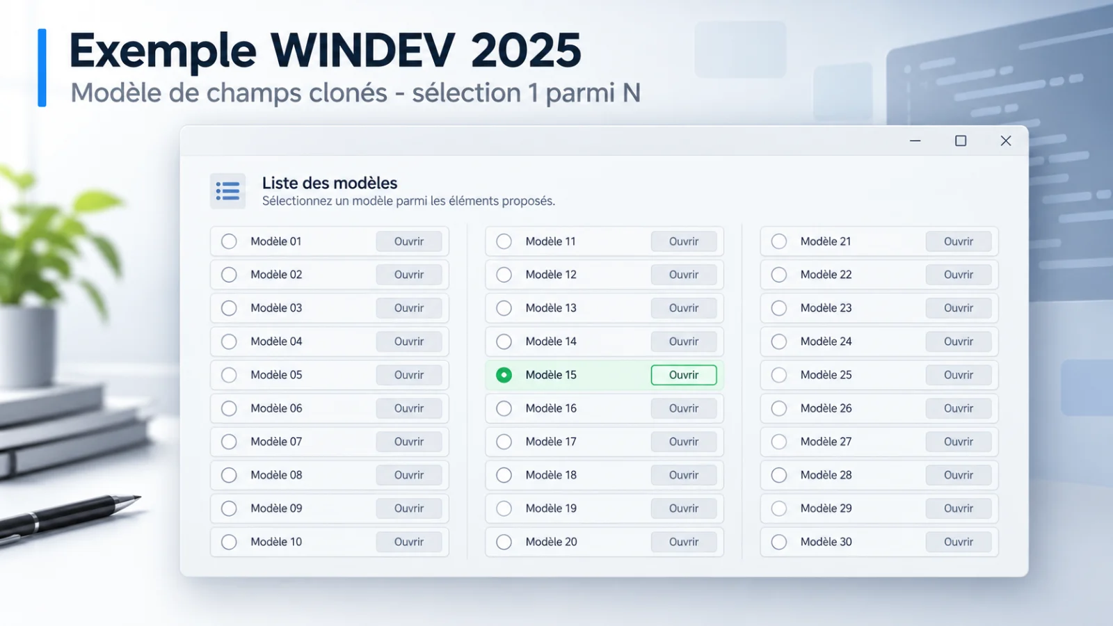 Illustration de Exemple WINDEV 2025 – Modèle de champs clonés